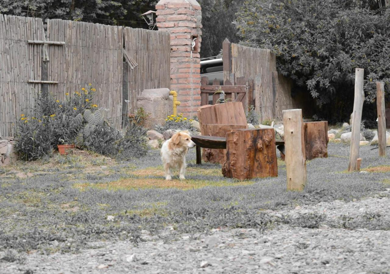 Hostal La Albahaca Tilcara Buitenkant foto