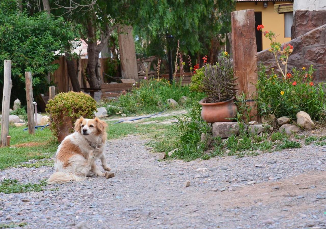 Hostal La Albahaca Tilcara Buitenkant foto