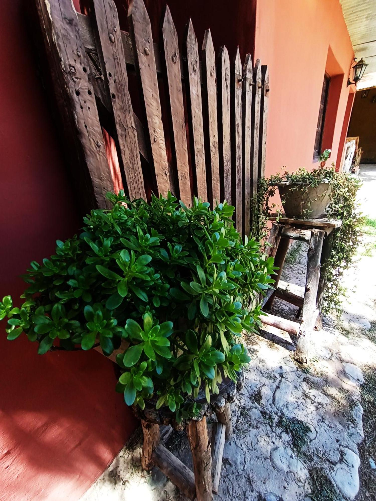 Hostal La Albahaca Tilcara Buitenkant foto